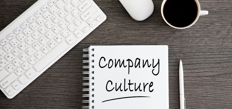 Assess Company Culture